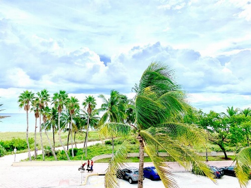 BROADMORE MIAMI BEACH image 30